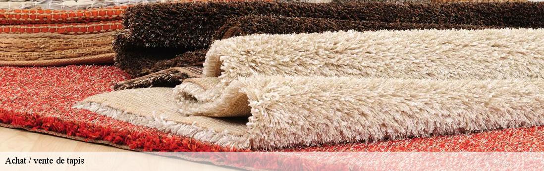 Achat / vente de tapis  le-logis-du-pin-06750 Atelier du Tapis